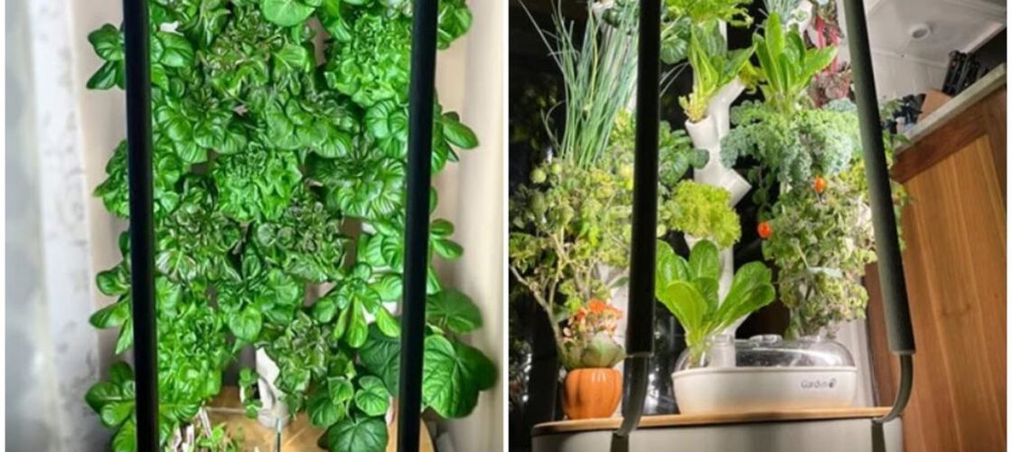 VIDEO | Sistemul de cultivare verticală în interior pe care să-l pui în bucătărie. Poate include 30 de tipuri de plante în același timp