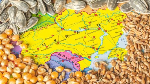 Ministerul Agriculturii de la Kiev: Exporturile de cereale ale Ucrainei sunt în scădere