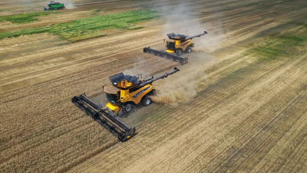 Holde Agri Invest anunţă măsuri pentru redresarea activităţii grupului. Grupul vrea să semneze noi parteneriate şi să atragă noi investitori: Suntem conştienţi de gravitatea situaţiei în care se află grupul, dar şi tot sectorul de agricultură din Romania