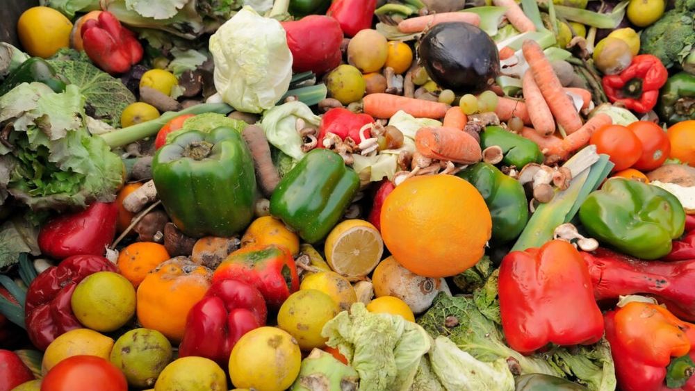 Risipa alimentară / Americanii aruncă anual 35 de milioane de tone de alimente din mâncarea produsă / Specialiștii explică cum putem limita risipa