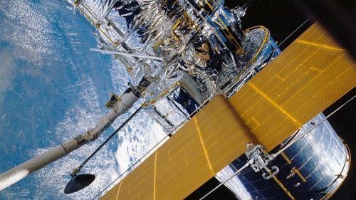 Monitorizarea faunei sălbatice din spaţiu va fi reluată  după o pauză de trei ani