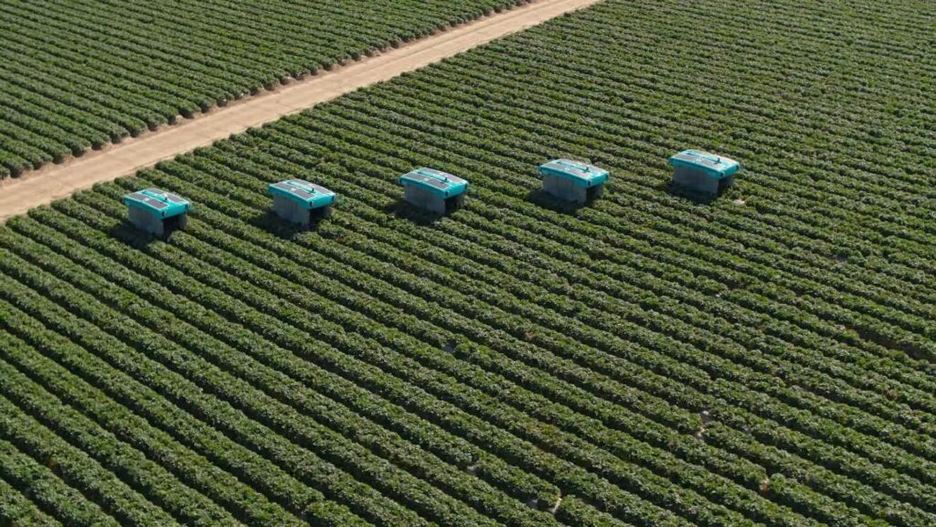 Alphabet (Google) renunță la startup-ul său Mineral din domeniul AgTech / Acesta se alătură unei liste lungi de firme, produse și servicii închise de gigant