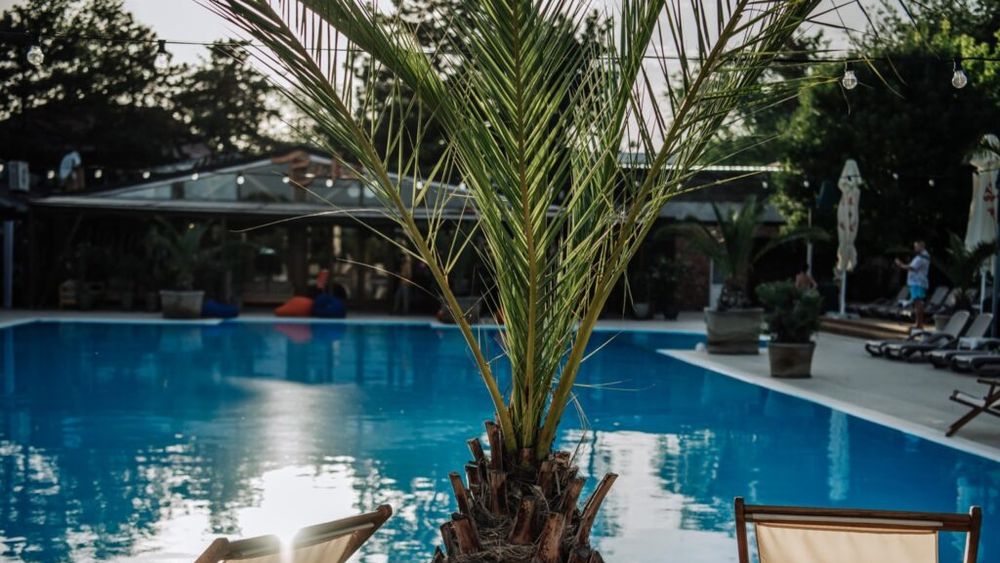 Relaxare urbană: 3 restaurante cu piscină din București pentru zile toride