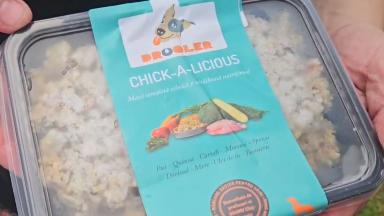 Curcan, vită sau vegan? Ce aleg cățeii când au un meniu gândit special pentru ei / Andrei Botescu, investitor Drooler: Rețetele noastre acoperă nevoile nutriționale ale cățeilor (VIDEO)