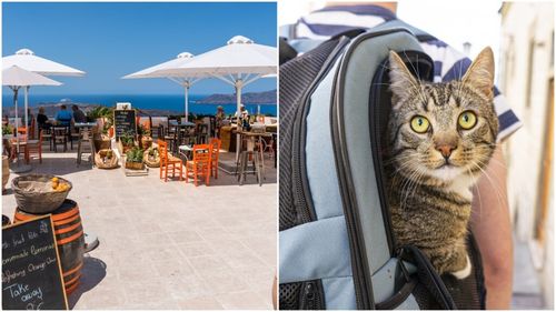 EXCLUSIV Sondaj: Românii consideră că Grecia și Turcia sunt cele mai atractive țări din punct de vedere culinar / 62% alocă 25-50% din buget mâncării în vacanță / Ce fac respondenții cu animalele de companie când pleacă în concediu?