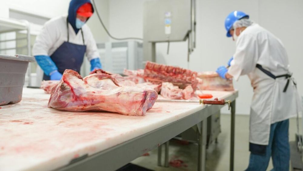 Companie americană, amendată cu 650.000 de dolari pentru că a angajat ilegal copii pentru a curăța fabrici de prelucrare a cărnii