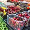 VIDEO | Bogăție de legume și fructe de primăvară în piețele de la Mediterana. Cât costă pepenii, roșiile sau sfecla