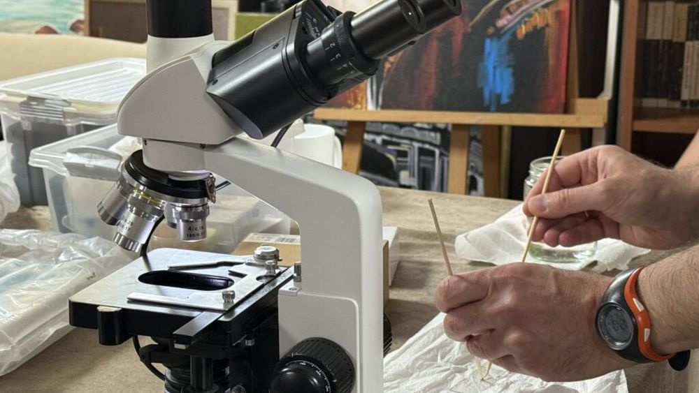 Peste 400 de copii din medii vulnerabile participa la ateliere de știință / Inițiativa face parte din programul educațional „Meniul Zilei de Mâine”, derulat de Sphera Franchise Group și KFC România în parteneriat cu Bucharest Science Festival