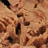 Tonul poate contribui la controlul tensiunii arteriale / Sarea din conserve poate diminua, însă, beneficiile