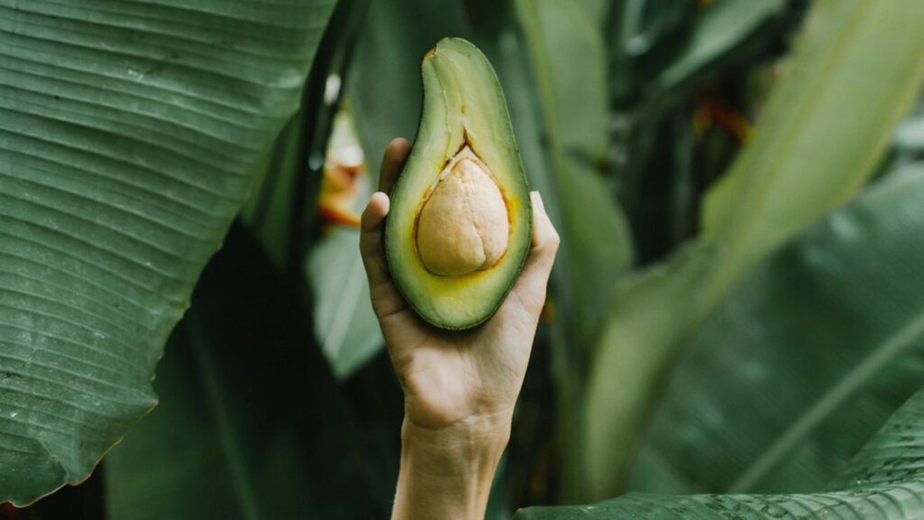 Avocado, fructul ajuns atât de cerut pe piață, încât este furat cu zecile de tone, de la producători / Grupările criminale mexicane cer fermierilor taxe pe marfa vândută