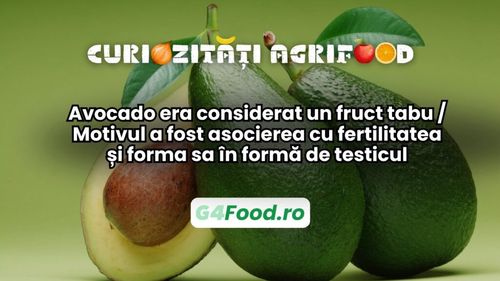 Curiozități agri-food 9 ianuarie:  Avocado era considerat un fruct tabu / Motivul a fost asocierea cu fertilitatea și forma sa în formă de testicul