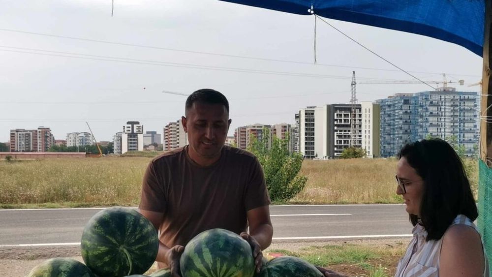 FOTO Prima plantație de lubeniță din Timișoara: Colaborare între Universitatea de Științele Vieții și un producător din Gottlob / Oamenii pot culege singuri fructul dorit din câmp