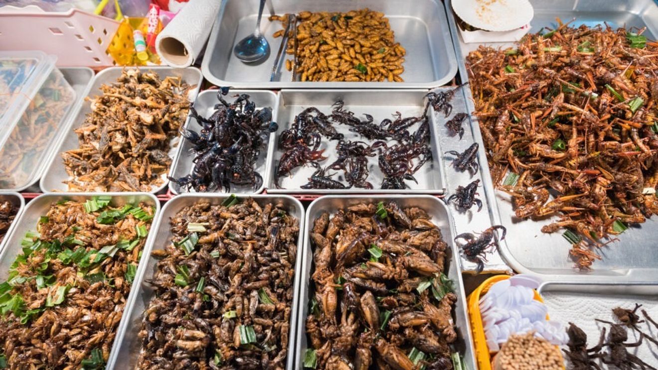 Zece alimente bizare pe care oamenii le mănâncă prăjite / Pare greu de crezut, dar unii chiar le consumă / De la murături prăjite sau gumă de mestecat până la tarantule sau șerpi prăjiți, lista e mai ciudată decât îți imaginezi