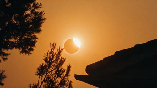 VIDEO FOTO | Cum am petrecut eclipsa în Spania, cu un grătar pe terasă. Am ars burgerii, dar am admirat 7 secunde de întuneric total