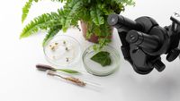 Parlamentul European se pregătește să aprobe noile plante editate genetic / Fermierii sunt împărțiți între speranță și îngrijorare: susținătorii invocă rezistența la secetă, criticii se tem de monopoluri