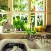 9 plante aromatice pe care le poți crește în casă tot anul. De la busuioc și mentă la salvie, ce ai nevoie pentru propria grădină de pe pervaz