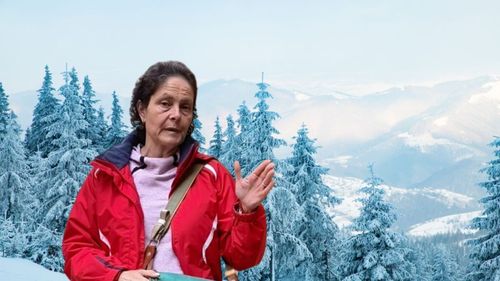 VIDEO | Câinii vânători de trufe și-au scos proprietarul din zăpadă/ Proprietar plantație trufe: Câinii „trufari” au un simț al orientării extraordinar. Trebuie doar să le spui să găsească drumul