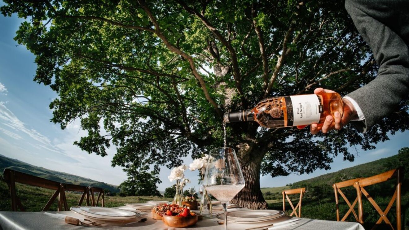 Tendințe pe piața vinurilor | Domeniile Davidescu: „Vinurile albe cresc, cele roșii scad ușor, rosé-ul își menține ritmul vânzării”