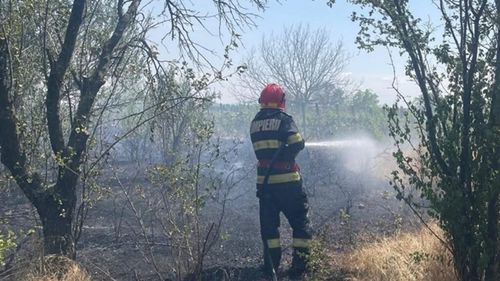 Un incendiu de vegetaţie uscată care a afectat 50 de hectare s-a extins și la o livadă în Pietroşani, județul Teleorman / Există riscul să ajungă la casele oamenilor