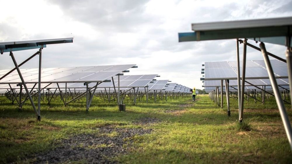 Primul parc agrofotovoltaic din Iași: investiție spaniolă pentru energie verde și agricultură sustenabilă