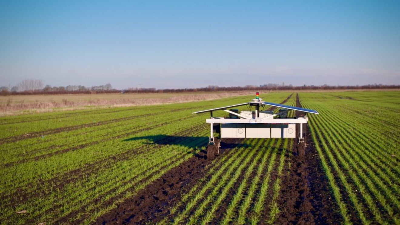 CLAWS este un robot care utilizează inteligența artificială și lumina concentrată pentru a elimina buruienile fără erbicide