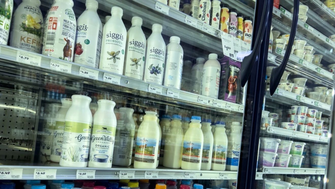 Kefirul sau iaurtul/Care este diferența dintre ele și cum să-l alegi pe cel care ți se potrivește cel mai bine/Istoria celor două produse