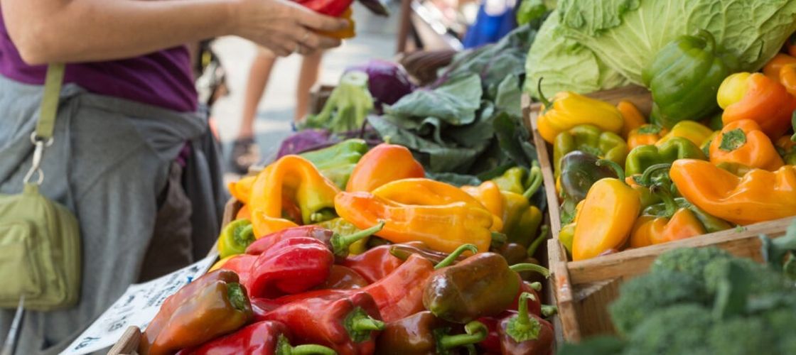 Județul Dâmbovița, pe primul loc în România la producția de legume, fructe și ouă/ Fermierii din Lungulețu refuză apa gratuită pentru irigații, după ce anul trecut au protestat în stradă