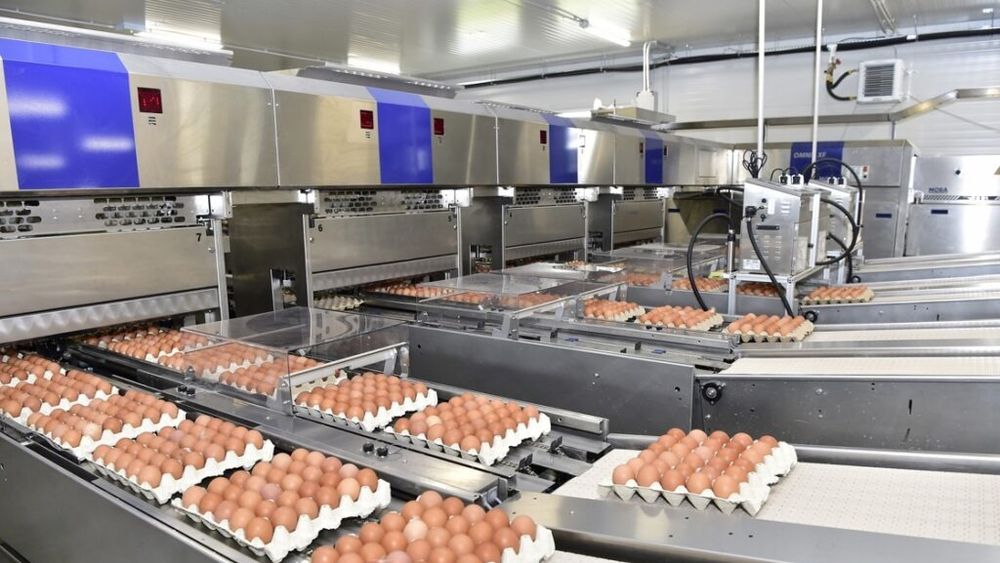 AFIR: 102 noi investiţii în procesare vor primi o finanţare de peste 259 milioane de euro