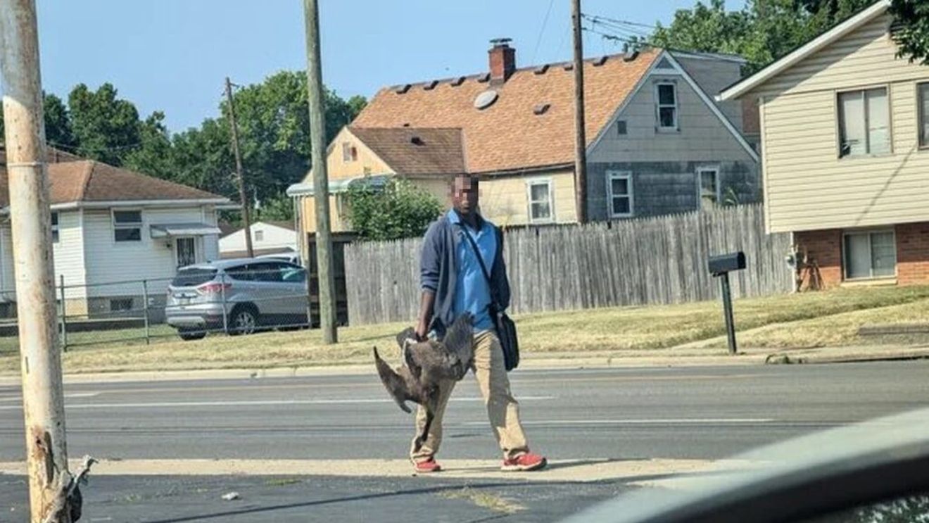 Au existat cazuri în care imigranți din SUA au mâncat animale de companie? Este acesta un fenomen, cum susțin Trump și Vance? Ce concluzii au tras platformele PolitiFact și Snopes