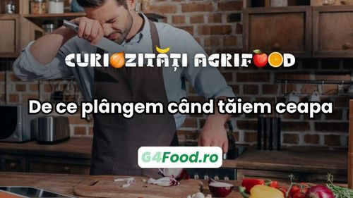 Curiozitate agri-food: De ce plângem atunci când tăiem ceapa / Mecanismul chimic surprinzător prin care ceapa ne provoacă lacrimi