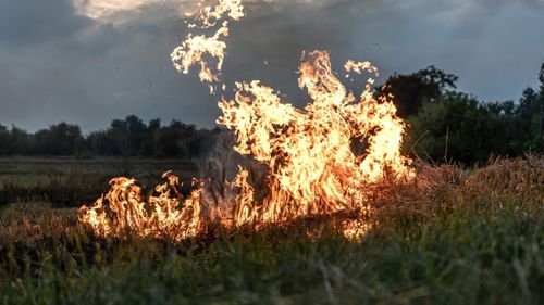 APIA le reaminteşte fermierilor că este interzisă arderea miriştilor şi a vegetaţiei pajiştilor permanente