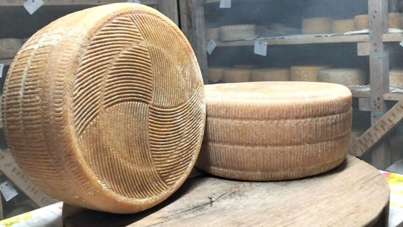 Trei medalii de aur, obținute de brânzeturi din Timiș și Tulcea la Concours International de Lyon 2025