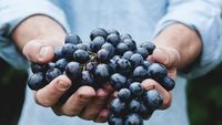 Strugurii, fructul recomandat de specialiști pentru sănătatea intestinului, inimii și creierului / Ce au descoperit cercetătorii despre polifenoli