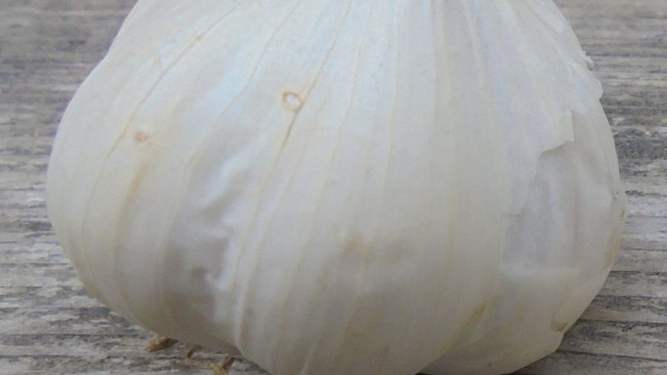 Cum a umflat Ministerul Agriculturii costurile fermierilor pentru cultivarea unui hectar de usturoi, ca să salte ajutorul de stat la 3000 de euro/ha, în plină campanie electorală