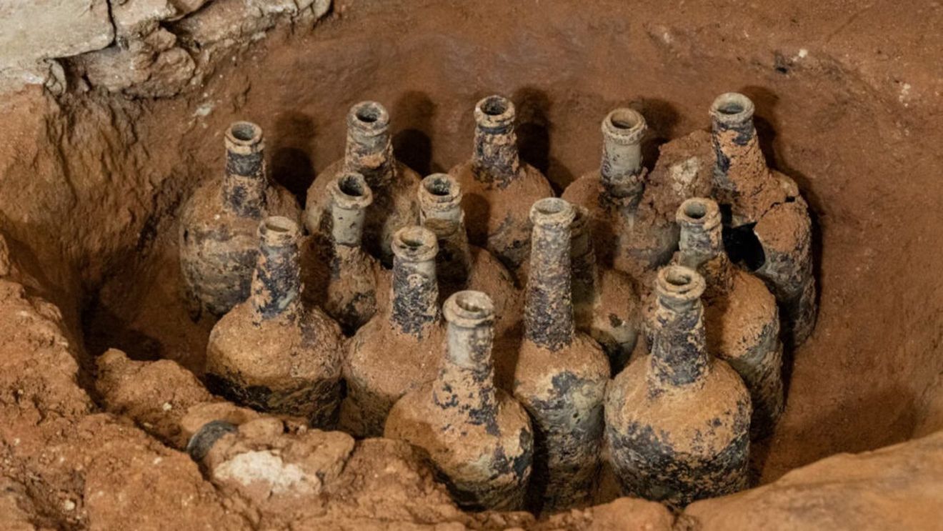 Cireșe și alte fructe vechi de secole au fost găsite în casa lui George Washington, primul președinte american / Ce ne pot spune acestea?