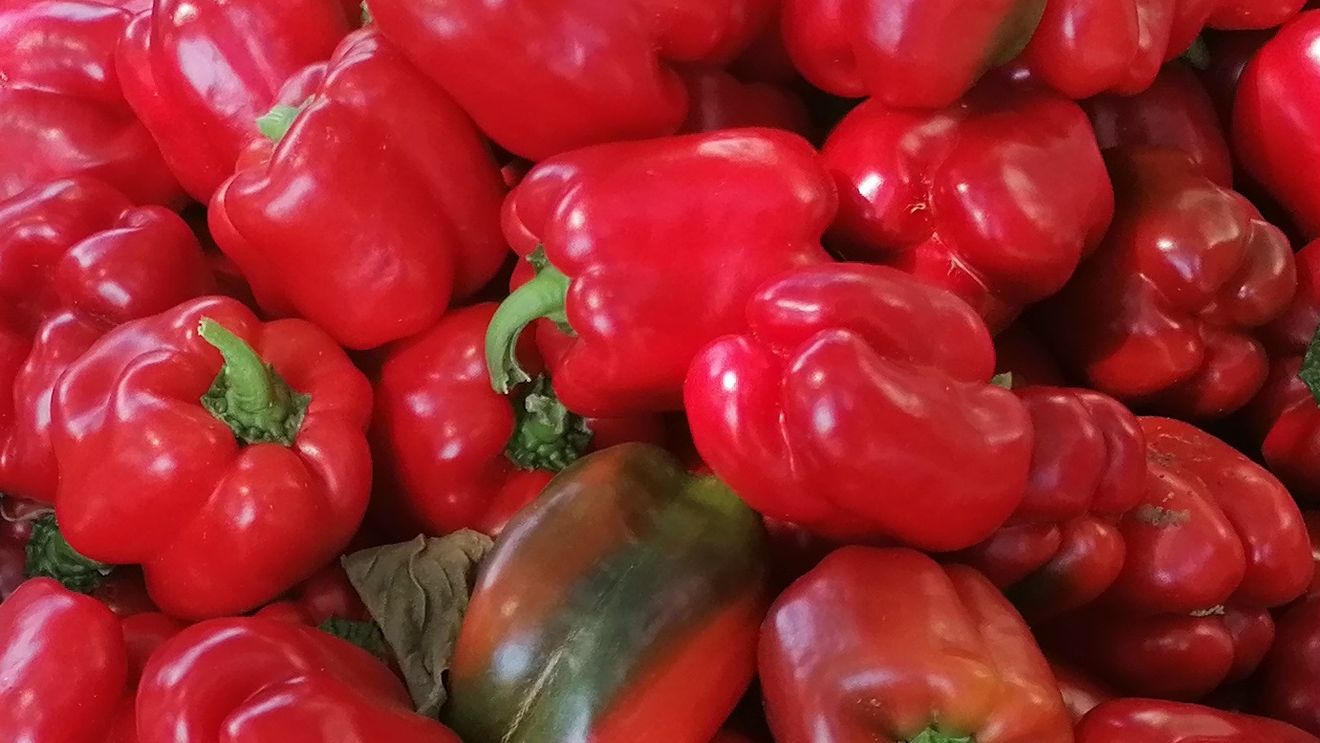 Camioanele care transportau ardei din Maroc erau de fapt ascunzătoare pentru droguri/ Poliţia spaniolă a confiscat 20 de tone de canabis strecurate între legume