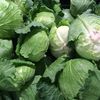 Supraproducția de varză a prăbușit prețul la 50 de bani, iar fermierii o toacă pe câmp sau o donează/ Aceeași situație ar putea apărea și la cartofii timpurii