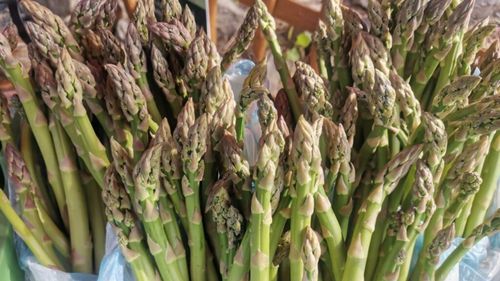 „Nu sparanghelului timpuriu”/ „Nu forțării naturii”/ Protest împotriva fermierilor care udă cu apă caldă legumele pentru a crește mai repede