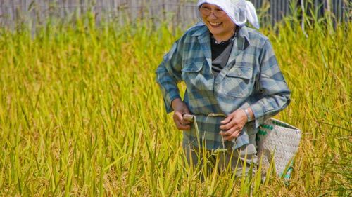 Japonia se confruntă cu un deficit semnificativ de angajaţi străini, iar unul dintre cele mai afectate domenii este agricultura / Declin de 20% al numărului de lucrători agricoli în cinci ani