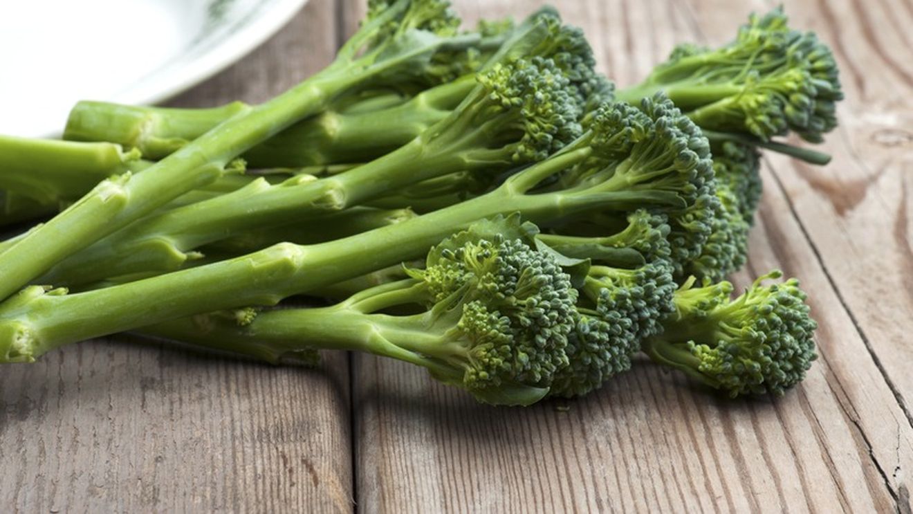 Broccoli Tendersteam, o varietate hibridă, mai fragedă, care se gătește întreg. Este mai fraged și mai versatil