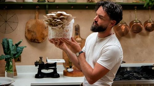 VIDEO | Ciupercile care cresc fără soare / Poți cultiva acest super-aliment direct la tine acasă, chiar în baie, cu efort minim