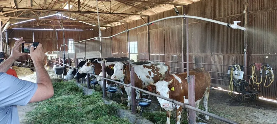 anamob-farmtopia-horizon-europe-agricultura-digitala-iot-ferme-mici-bovine-bunastarea-animalelor-schimbari-climatice-ferma-marian-alba-vaci-de-lapte-zootehnie-tehnologie-agricola-monitorizare-inteligenta