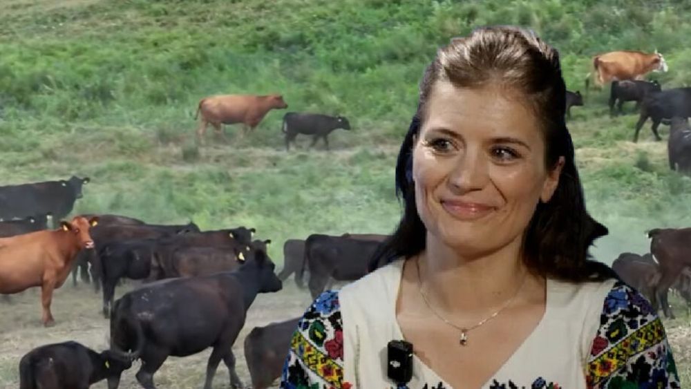 VIDEO | De la fermă până la galantar. Georgiana Păstrăv (Băcănia Boierească): „Controlăm totul, de la ce mănâncă animalul până la produsul final”