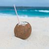 Apa de cocos tinde să nu mai fie doar un produs de nișă în România. Magazin online: Vânzările au crescut cu 318% în această vară / Produsul începe să fie folosit și în deserturile artizanale