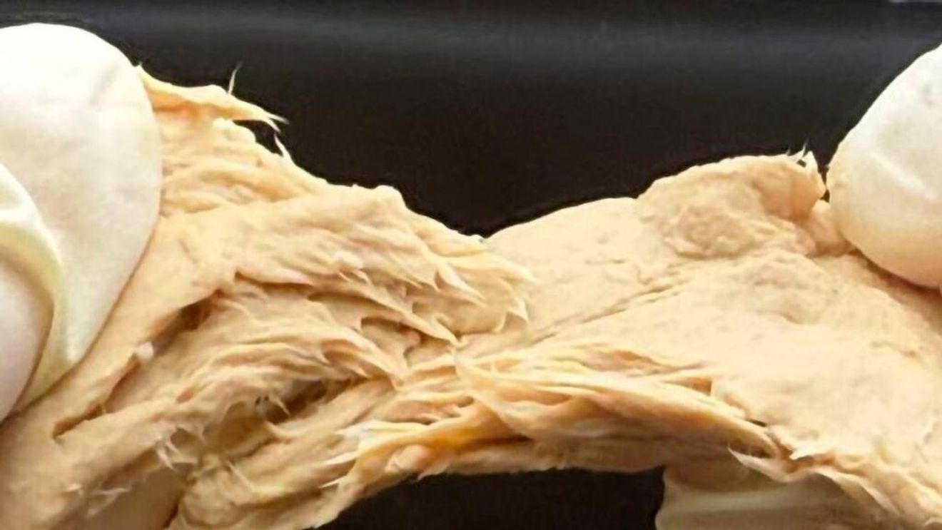 Ciuperci superproteice cu gust și consistență de carne, obtinute de o echipă de cercetători din China prin eliminarea a două gene și conținut redus de energie și nutrienți