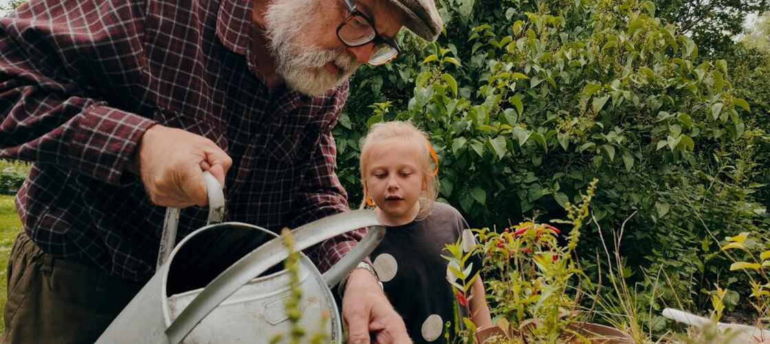 De ce bunicii nu cumpărau afine și rozmarin: 18 plante pe care le plantezi o dată și le culegi ani la rând / Alternativa la prețurile din supermarket