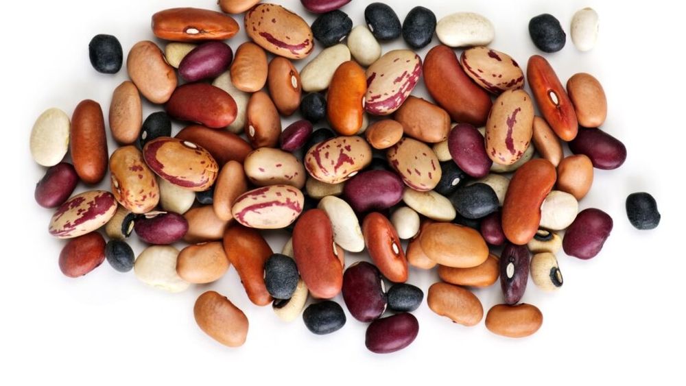 Fasolea, vedeta noului trend pe TikTok, poate face mai mult rău decât bine / Specialiștii explică de ce stomacul are nevoie de timp să se adapteze