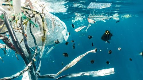 Expoziţie multimedia "Apa ne spune povestea", la Casa Avramide din Tulcea/ Lucrări semnate de 11 artişti, pe teme legate de ecologia apei, Dunăre şi impactul poluării asupra mediului