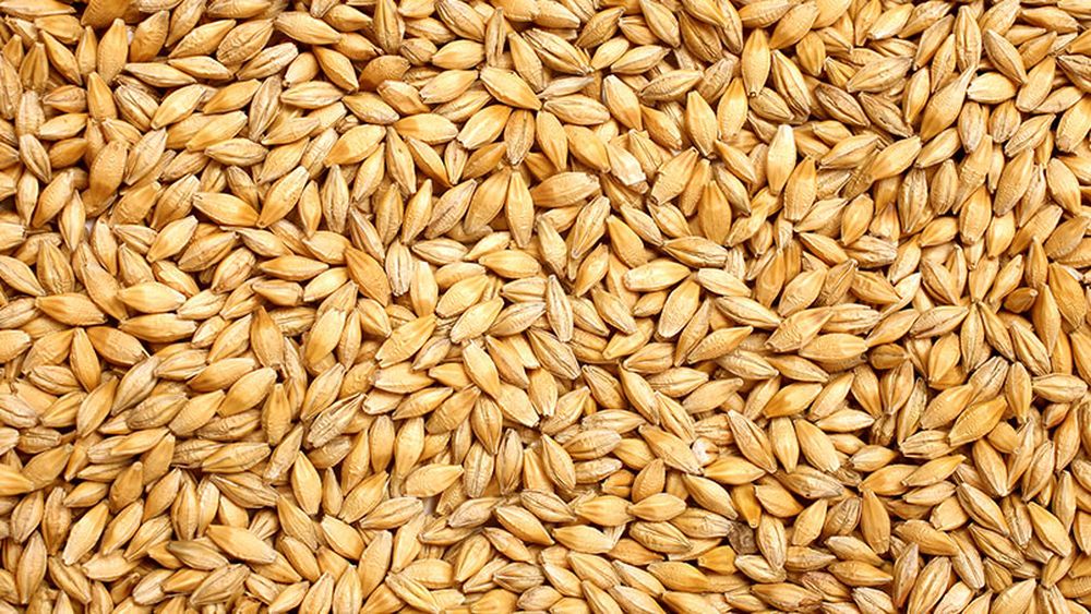 Franța, lider global în producția și exportul de malț: Trei giganți controlează o treime din piața mondială! / Producția anuală este estimată la 1,4 milioane de tone