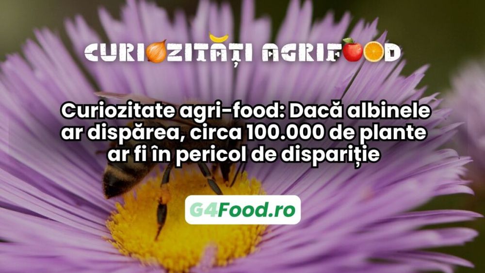 Curiozitate agri-food 21 martie: Dacă albinele ar dispărea, circa 100.000 de plante ar fi în pericol de dispariție